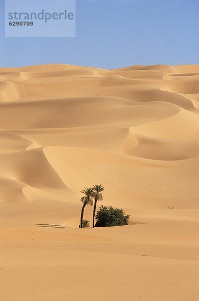 Nordafrika  Afrika  Libyen