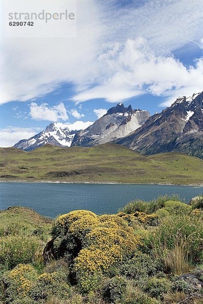 Landschaft  Torres del Paine Nationalpark  Chile  Patagonien  Südamerika