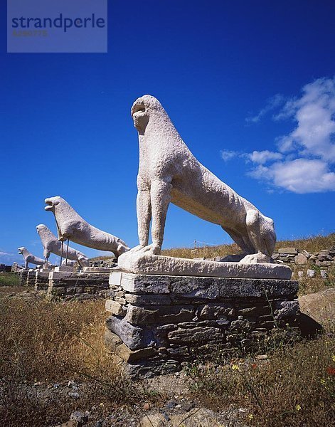 Europa  Terrasse  UNESCO-Welterbe  Kykladen  Griechenland  Griechische Inseln