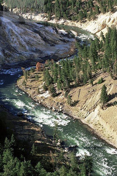 Vereinigte Staaten von Amerika  USA  nahe  Fluss  Nordamerika  Yellowstone Nationalpark  UNESCO-Welterbe  Wyoming