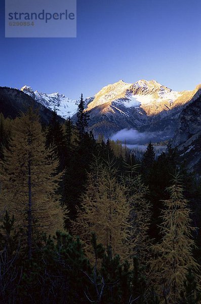 Europa Kanton Graubünden Engadin Schweiz