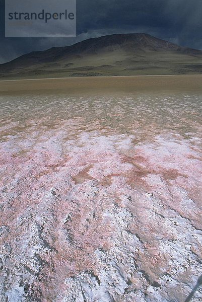 Landschaft  Bolivien  Laguna Colorada  Südamerika