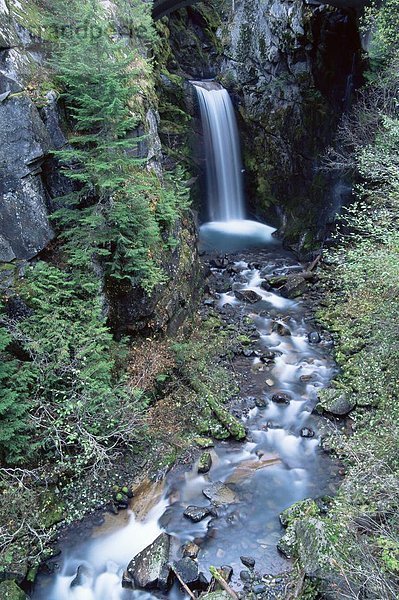 Vereinigte Staaten von Amerika  USA  Nordamerika  Mount Rainier Nationalpark  Washington State