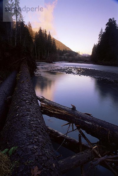 Nordamerika UNESCO-Welterbe Olympic Nationalpark Washington State