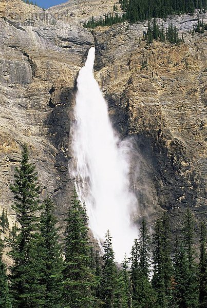 Sommer  Nordamerika  schmelzen  UNESCO-Welterbe  Takakkaw Falls  Yoho Nationalpark  Kanada
