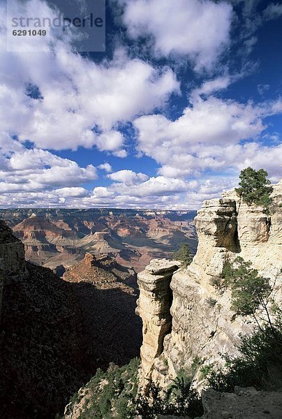 Anschnitt  Helligkeit  folgen  Nordamerika  Arizona  Ansicht  Grand Canyon Nationalpark  UNESCO-Welterbe  Engel