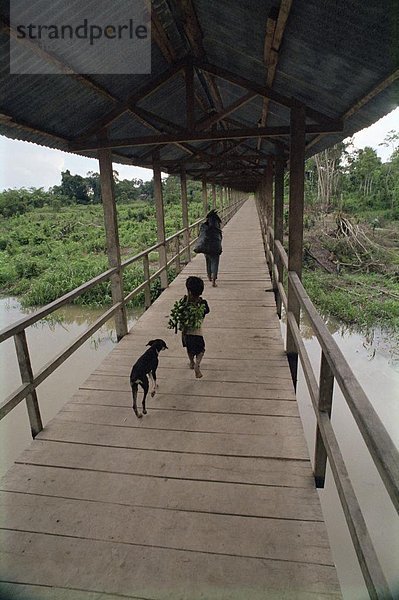 Außenaufnahme tragen Junge - Person folgen Banane klein Hund Gemeinschaft Peru Südamerika