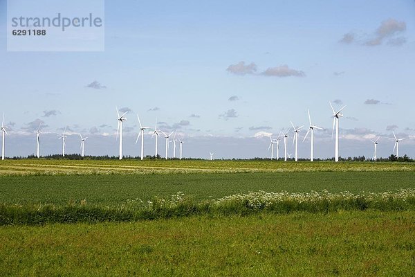 Windturbine Windrad Windräder Europa Dänemark Skandinavien