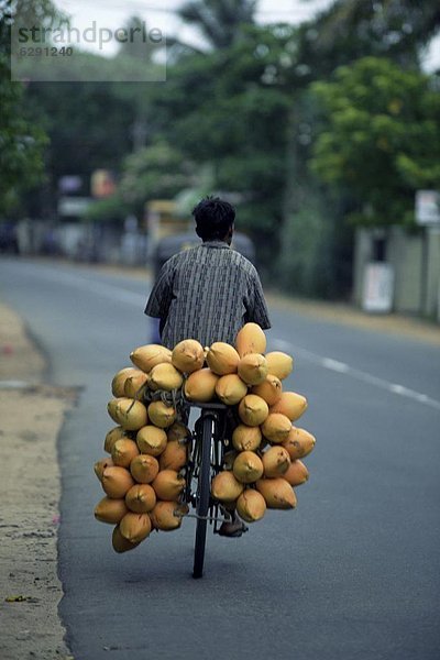 Mann  tragen  Fahrrad  Rad  Asien  Sri Lanka