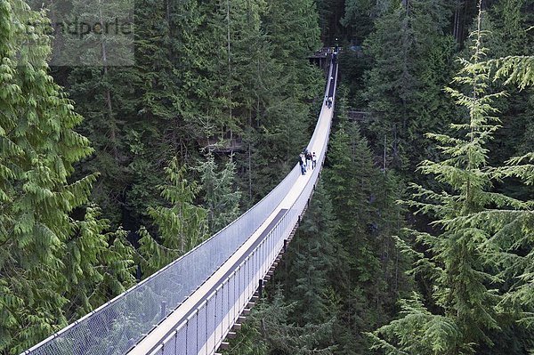 Tourist  Brücke  Nordamerika  hängen  British Columbia  Kanada  Vancouver