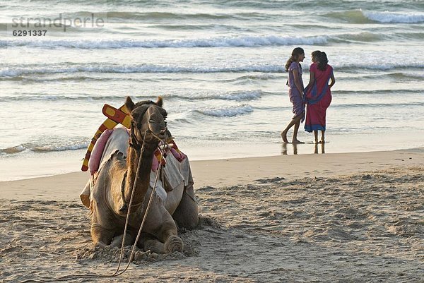 Strand  2  Mädchen  Asien  Abenddämmerung  Indien  Karnataka