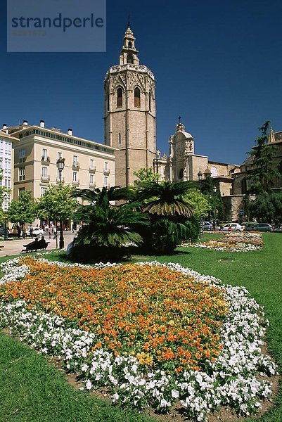 Europa Hintergrund Kathedrale Stadtplatz Garten Christ Spanien