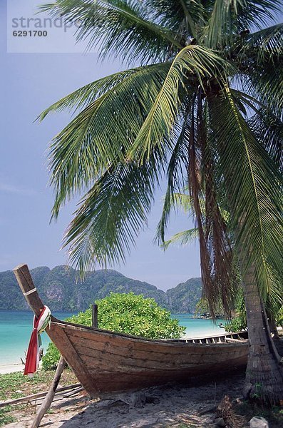 Strand Baum unterhalb Südostasien Asien Thailand