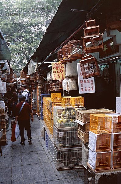 China  Asien  Vogelmarkt  Hongkong