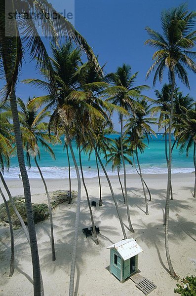 Ostküste  Karibik  Westindische Inseln  Barbados  Mittelamerika  Windward Islands