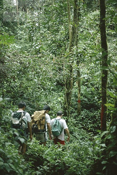 Mensch  Menschen  Menschengruppe  Menschengruppen  Gruppe  Gruppen  klein  Anfang  Asien  Malaysia  Regenwald  Sarawak  trekking