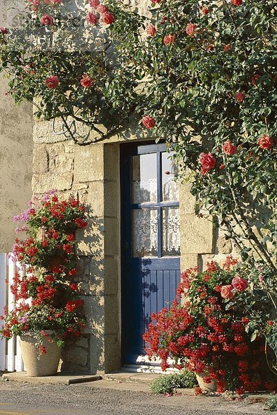 Frankreich  Europa  Außenaufnahme  Blume  Tür  blau  umgeben  rot  Bretagne  Morbihan