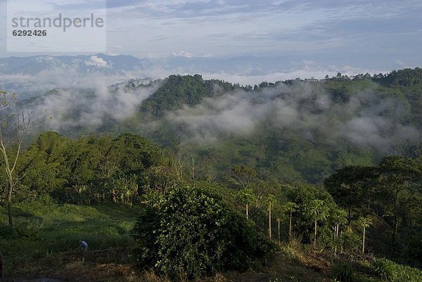 Berg  über  Nutzpflanze  Ansicht  Kaffee  Anden  Plantage  Kolumbien  Südamerika