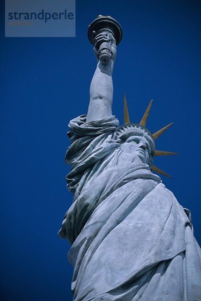 Statue von Liberty  Paris  Frankreich  Europa