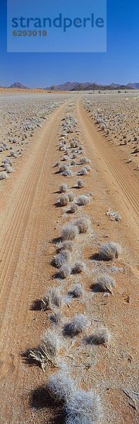 Namibia  Namib  Namib Naukluft Nationalpark  Afrika