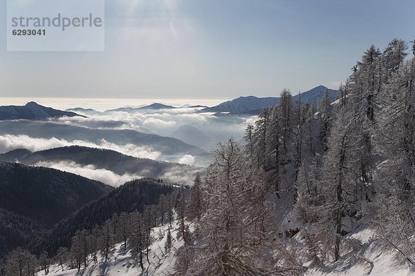 Europa  Italien