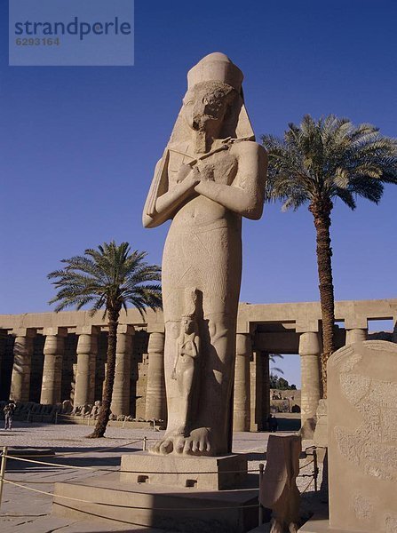 Nordafrika  zwischen  inmitten  mitten  groß  großes  großer  große  großen  Menschliches Knie  Menschliche Knie  UNESCO-Welterbe  Afrika  Ägypten  Karnak