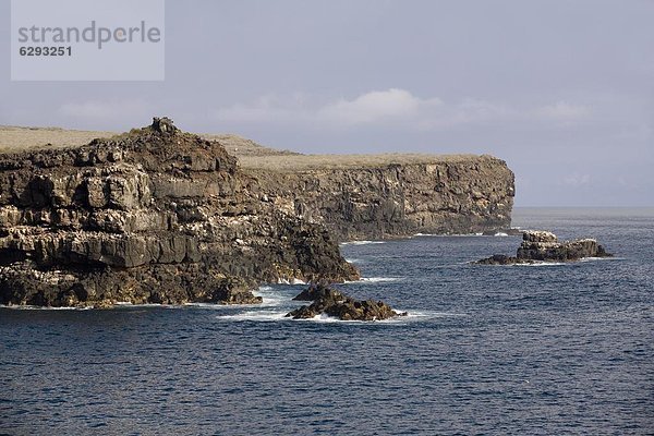 Galapagosinseln  Ecuador  Südamerika