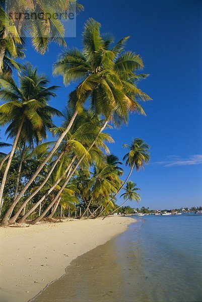 Karibik  Westindische Inseln  Mittelamerika  Pigeon Point  Trinidad und Tobago