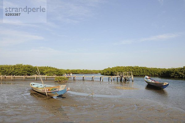 Westafrika  Boot  angeln  Flussdelta  Delta  Afrika  Mangrove  Senegal