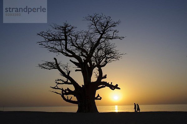 Westafrika  Afrika  Senegal