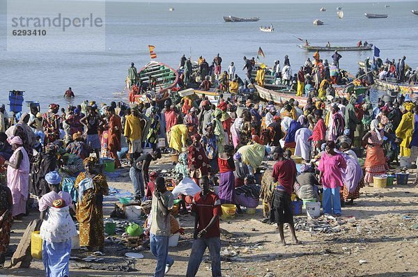 Mbour Fish Market  Mbour  Senegal  Westafrika  Afrika
