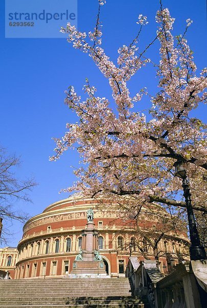 Die Royal Albert Hall  Kensington  London  England  Großbritannien