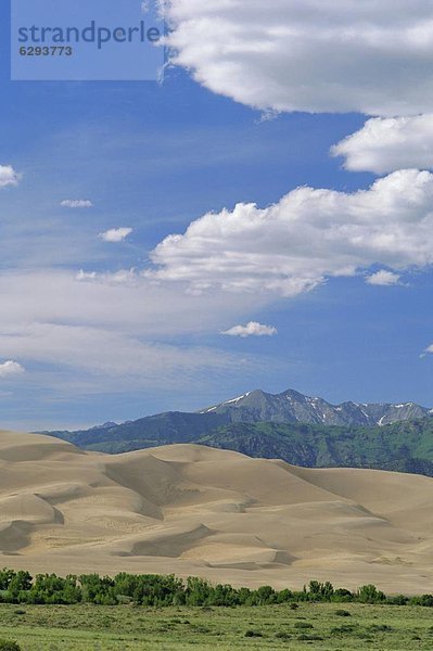 Vereinigte Staaten von Amerika  USA  Berg  Monument  Sand  Nordamerika  groß  großes  großer  große  großen  Düne  hoch  oben  Colorado