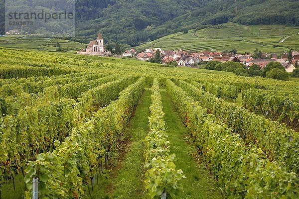 Frankreich  Europa  Wein  Dorf  Weinberg  vorwärts  Richtung  Elsass