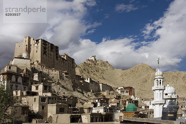 Asien  Indien  Ladakh  Leh