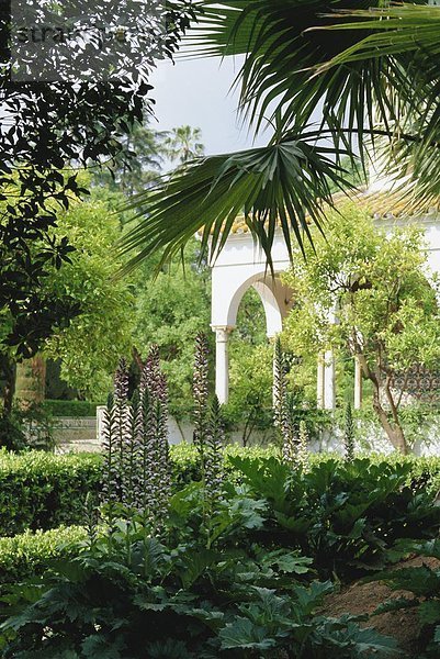 Europa  Wand  Palast  Schloß  Schlösser  Garten  Spanien