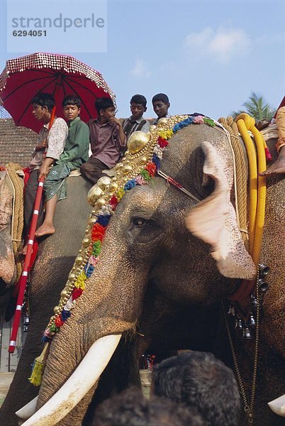 Junge - Person  Dekoration  Elefant  Festival  Asien  Indien  Straßenrand