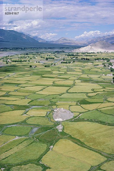 Tal  Asien  Indien  Ladakh  Kloster