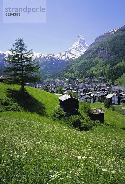 Europa Westalpen Schweiz Schweizer Alpen