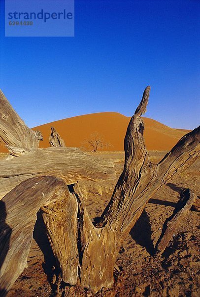 Düne Namibia Sesriem-Canyon Sossusvlei