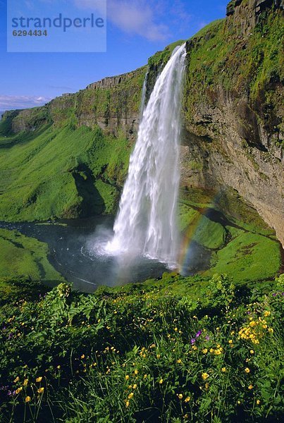 Wasserfall  neuseeländische Südinsel  Seljalandsfoss  Island