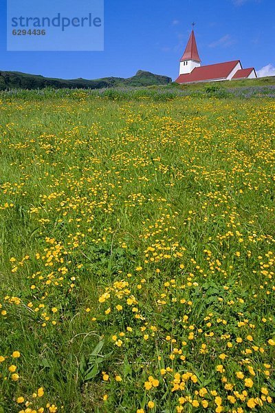 Vík í Mýrdal  Island