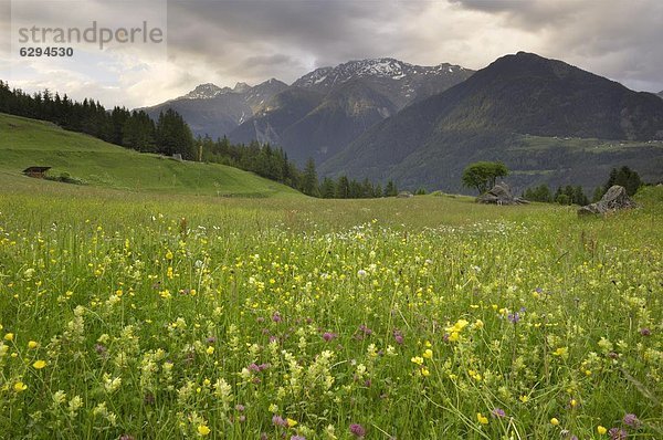 Europa  Österreich  Tirol