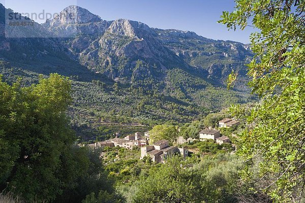 Fornalutx  Mallorca  Balearische Inseln  Spanien  Europa