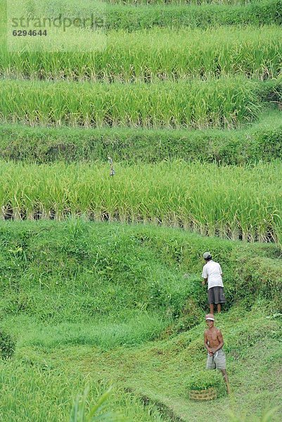 Indonesien