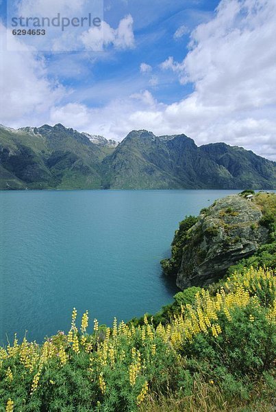 neuseeländische Südinsel  Neuseeland