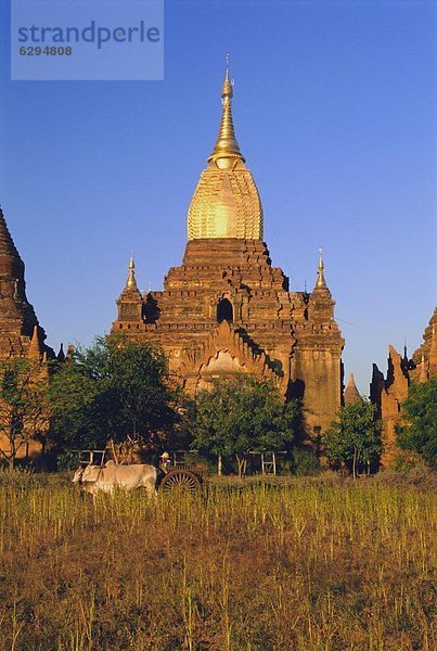 Kirchturm  Gold  Myanmar  antik  vergoldet