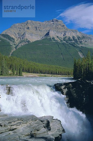 Rocky Mountains  Jasper Nationalpark  Alberta  Kanada