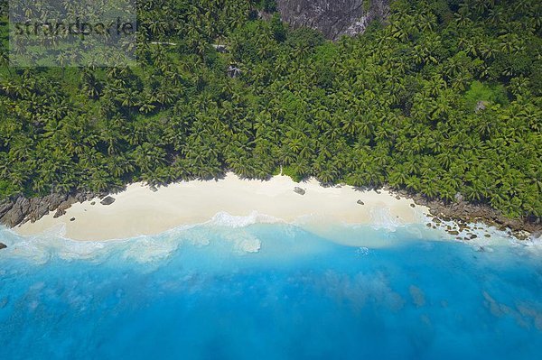 Strand  Ansicht  Luftbild  Fernsehantenne  Afrika  Indischer Ozean  Indik  Seychellen