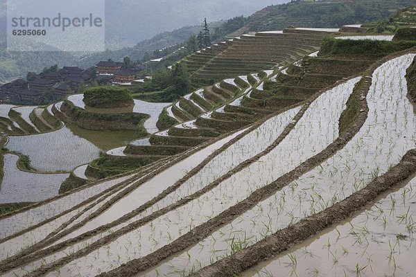 China  Asien  Guilin